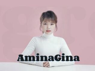 AminaGina