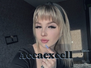 Accaexcell