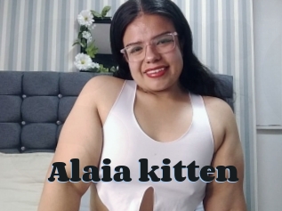 Alaia_kitten