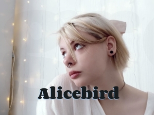 Alicebird