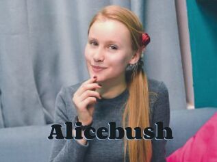 Alicebush