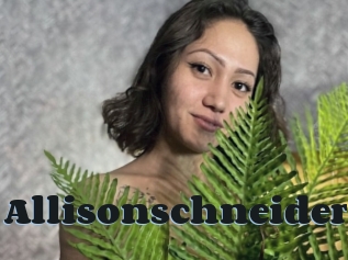 Allisonschneider