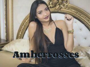 Amberrosses