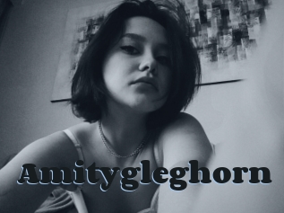 Amitygleghorn