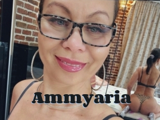 Ammyaria