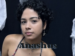 Anashus