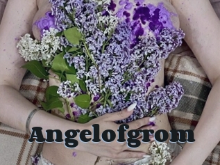 Angelofgrom