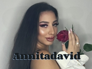 Annitadavid