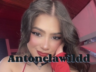 Antonelawildd