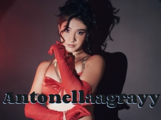 Antonellaagrayy