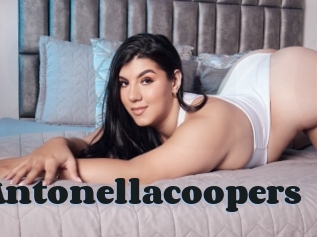 Antonellacoopers
