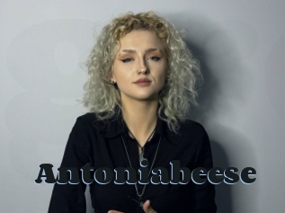 Antoniabeese