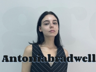 Antoniabradwell