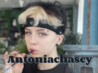 Antoniachasey