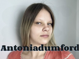 Antoniadumford