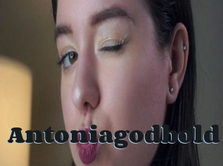 Antoniagodbold