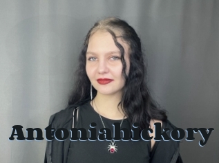 Antoniahickory