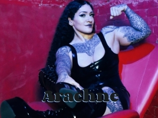 Arachne