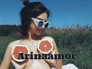 Arinaamor