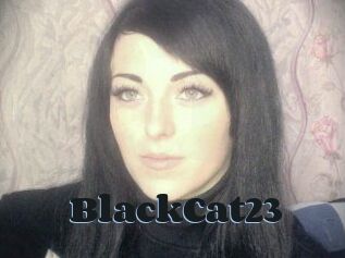 BlackCat23