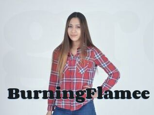 BurningFlamee