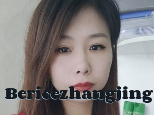 Bericezhangjing