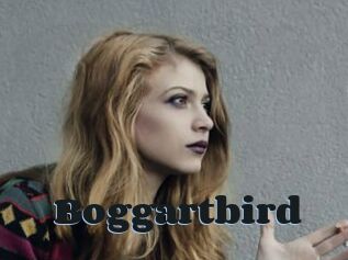 Boggartbird