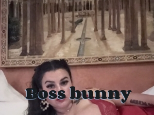 Boss_bunny