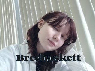 Breebaskett