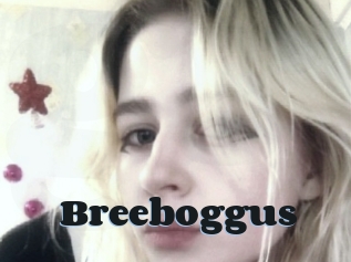 Breeboggus