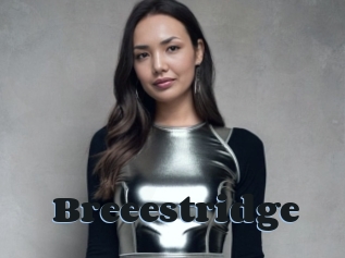 Breeestridge