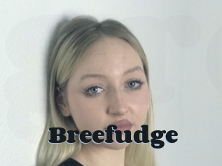 Breefudge