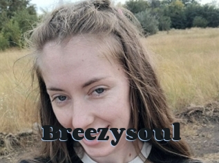 Breezysoul