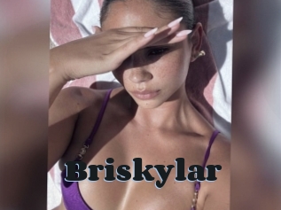 Briskylar