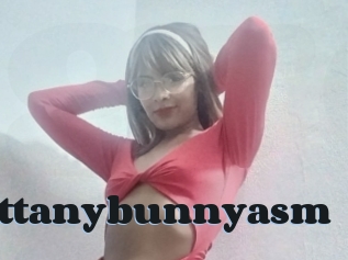 Brittanybunnyasm