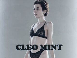 CLEO_MINT