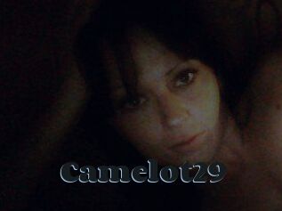 Camelot29