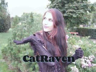 CatRaven