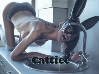 Cattiee