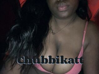Chubbikatt