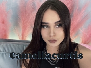 Cameliacurtis