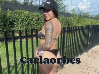 Carlaorbes