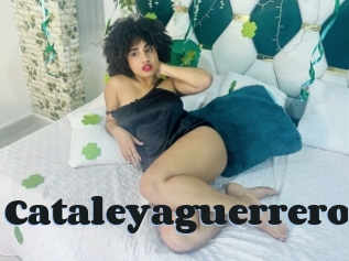 Cataleyaguerrero