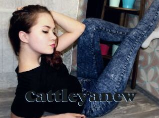 Cattleyanew