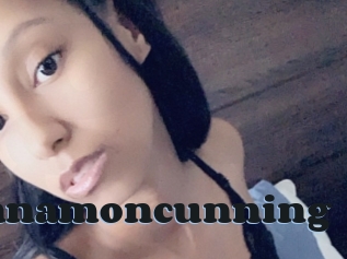Cinnamoncunning