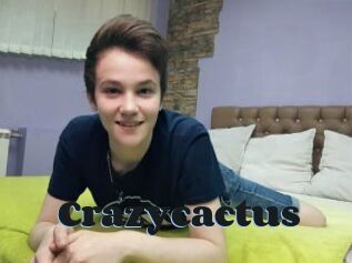 Crazycactus