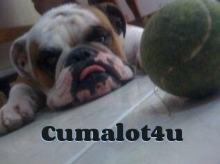 Cumalot4u