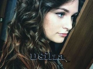 DSilza