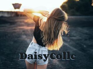 DaisyColle