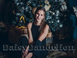 DaisyDandelion